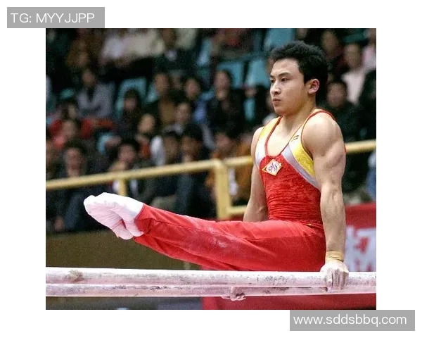 竞技体操难度系数评估与提升策略研究分析